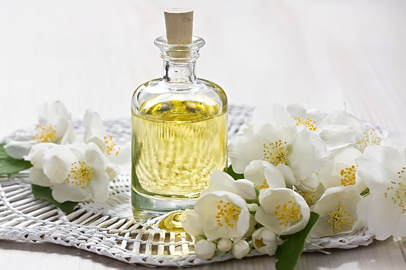 10-عطر-زنانه-با-رایحه-ی-یاس-min